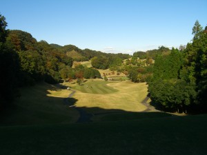 カナリア14番浮島Ｇ