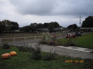 IMGP3460 ranch