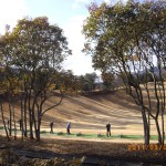 IMGP3968 driving range