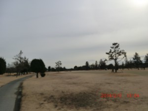 CIMG0677