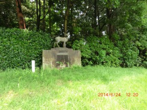 CIMG0403