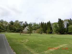 CIMG3564