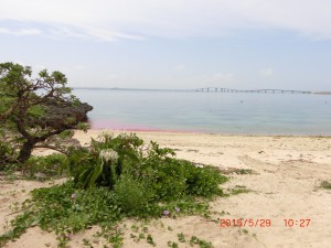 CIMG4298