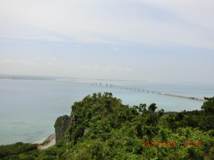 CIMG4314