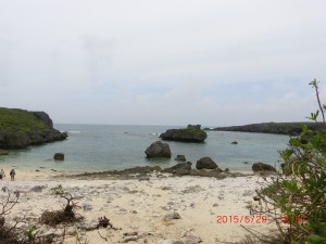 CIMG4367