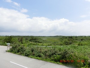 CIMG4449