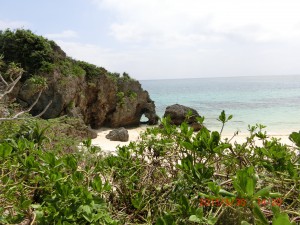 CIMG4455