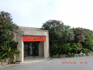 CIMG4466