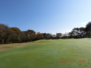 CIMG6450