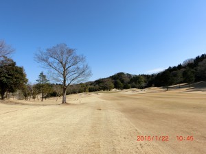 CIMG7611