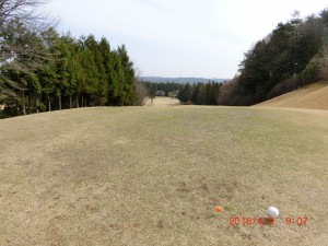 CIMG8681