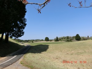 CIMG8759