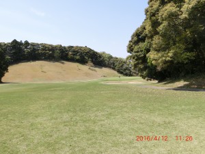 CIMG8772