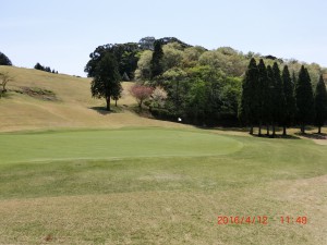 CIMG8774