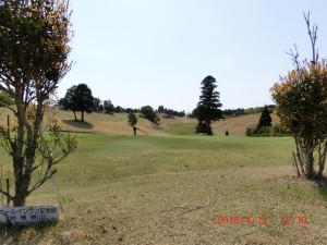 CIMG8780