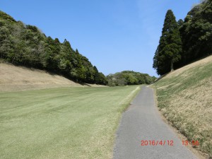 CIMG8785