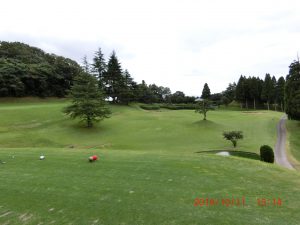 cimg1291